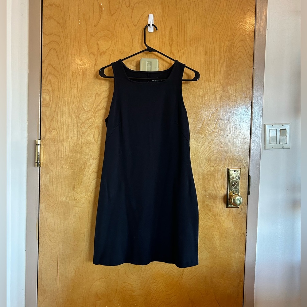 Everlane Black Shift Dress